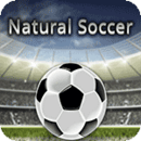 自然足球(Natural Soccer)