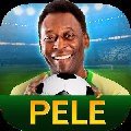 贝利足球传说(Pele: Soccer Legend)